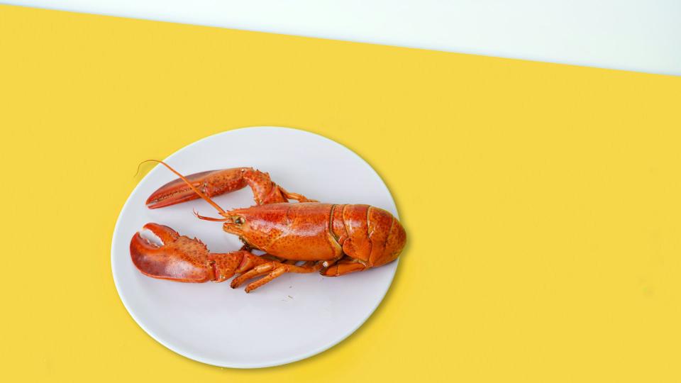 lobstr 1.0.0