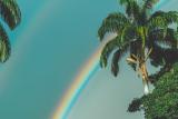 Que haja luz: More light for torch!
