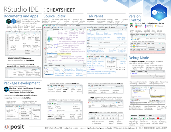 RStudio IDE
